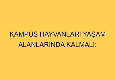 Kampüs Hayvanları Yaşam Alanlarında Kalmalı: İzmir İl Hayvanları Koruma Kurulu Kararına İtirazımızdır